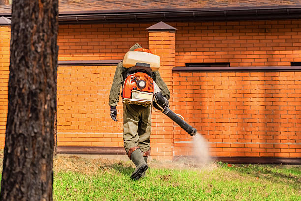 Trusted Cockroach Control service in Salineville, OH - Nex Pest Control